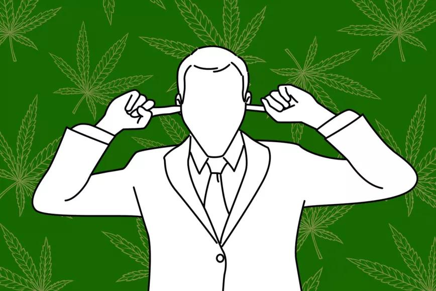 No se enteran Editorial Cañamo 314