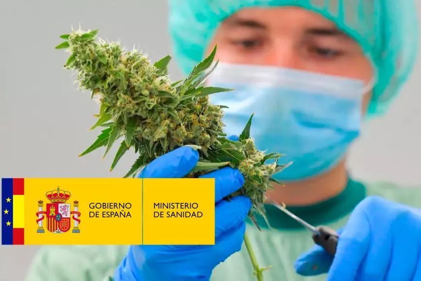 Iniciado el trámite para regular el cannabis medicinal