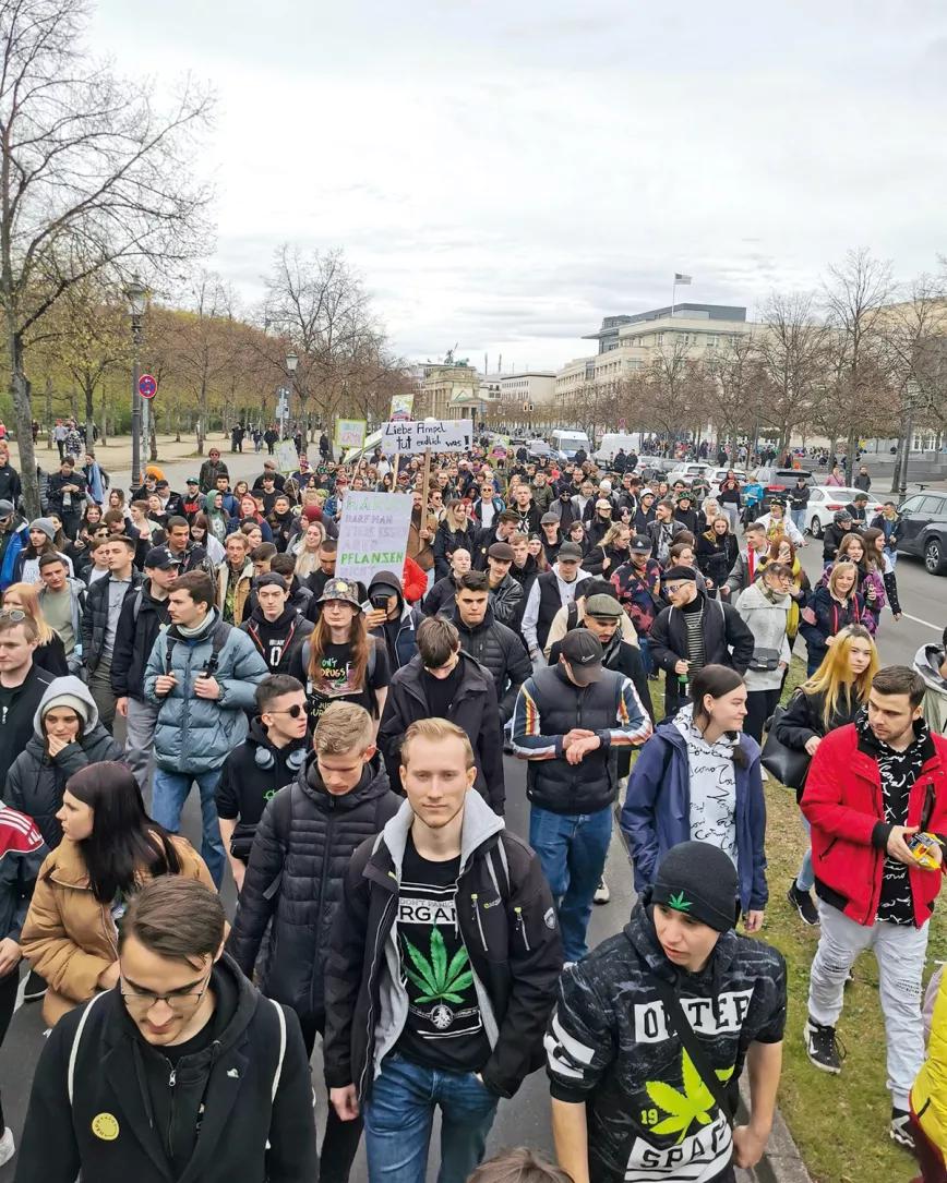 Qué podemos aprender del proceso alemán sobre regulación del cannabis. Por Ana Afuera