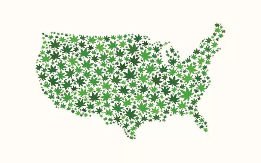 Ya hay más dispensarios de cannabis que tiendas de McDonald’s en EE.UU.