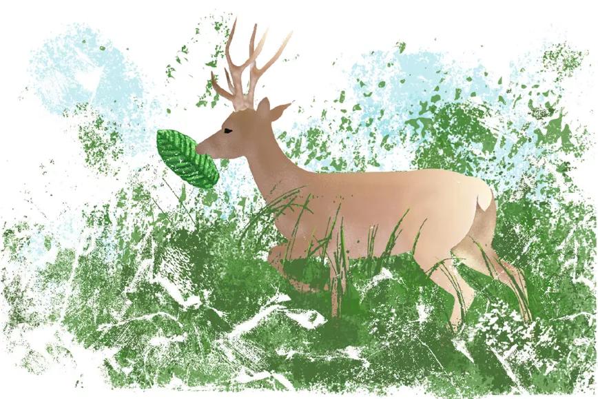 Kratom, ¿la salvación contra la adicción de opioides?