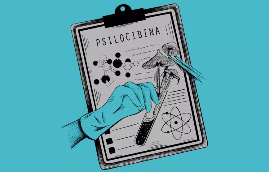 Tres asociaciones civiles realizarán la primera encuesta de hongos psicodélicos en Argentina