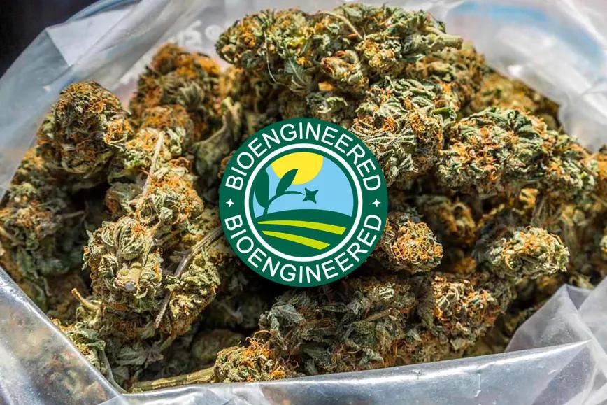 EEUU aprobó una variedad de cáñamo que no produce THC ni CBD