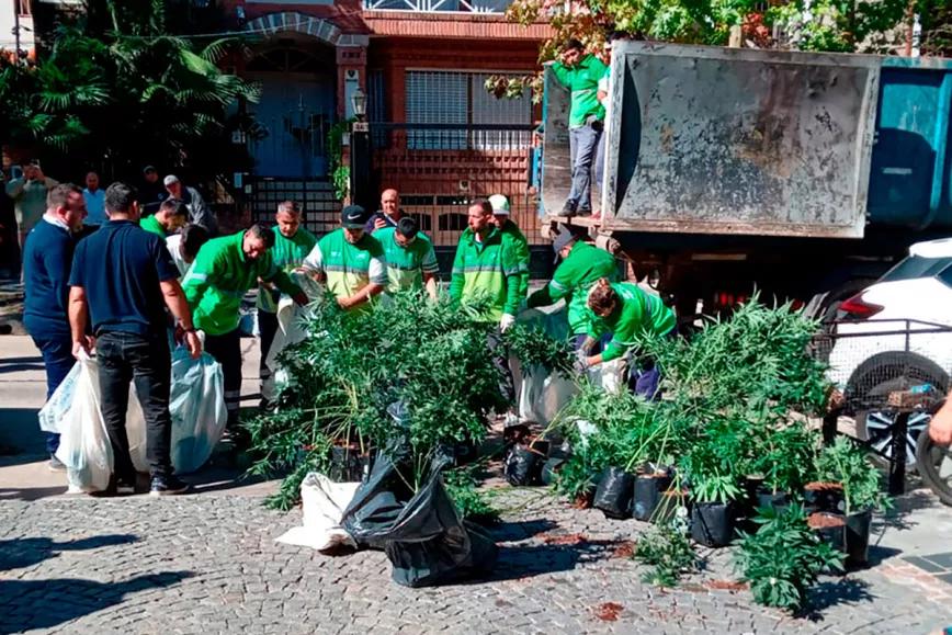Argentina: una asociación civil denuncia un allanamiento ilegal en su cultivo de cannabis