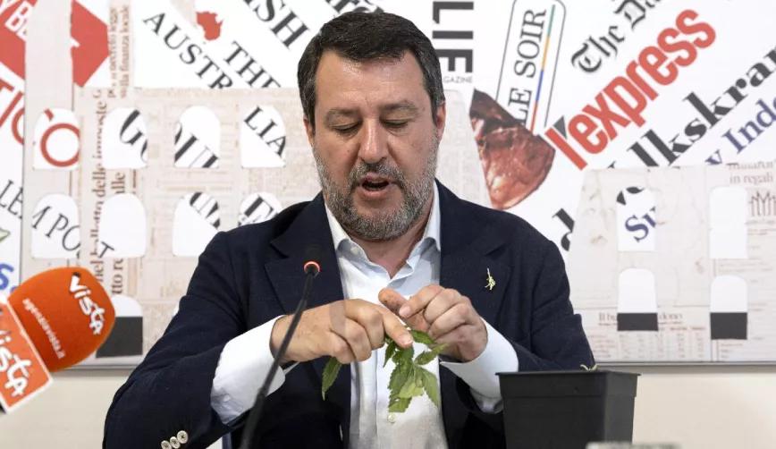 Matteo Salvini destruye una planta de cannabis ante las cámaras