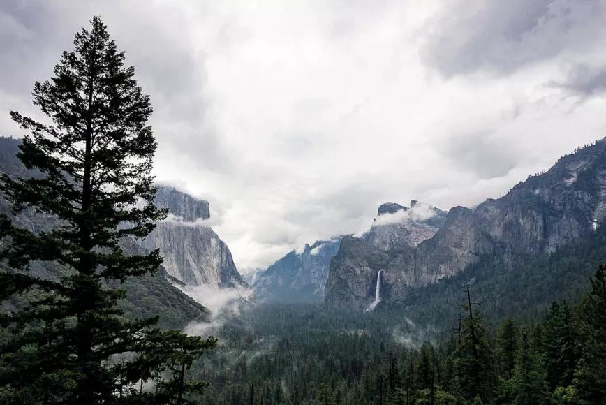 Sembrando experiencias: un viaje por las culturas del cannabis en Colorado, California y España 