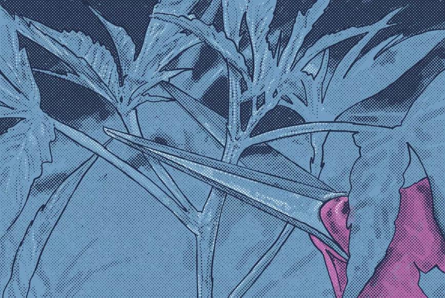 Sacar esquejes para tener más plantas 