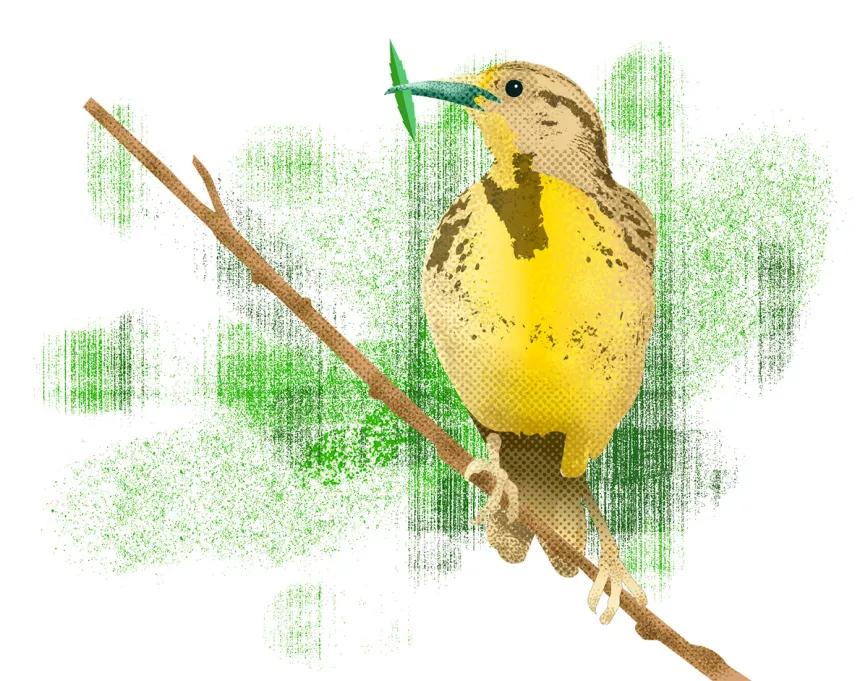 Observatorio Norteamericano - Oregón, en problemas