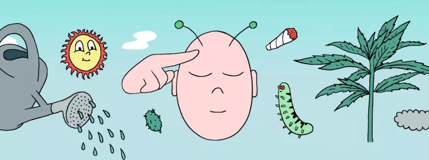 Decálogo del gran cultivador