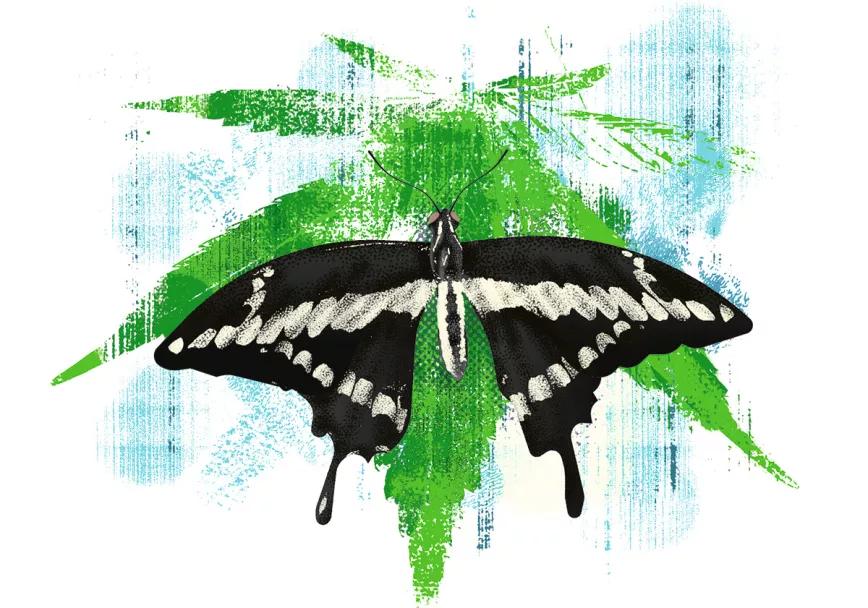 Observatorio Norteamericano - Los Ángeles: ciudad cosmopolita a la vanguardia