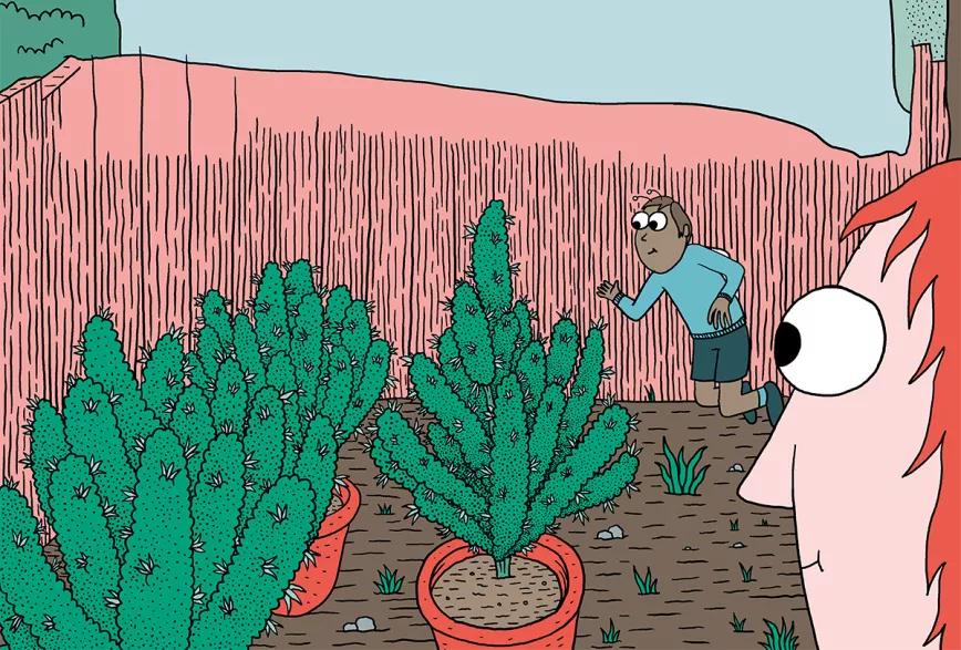 Variedades autoflorecientes: secretos de los cogollos automáticos 