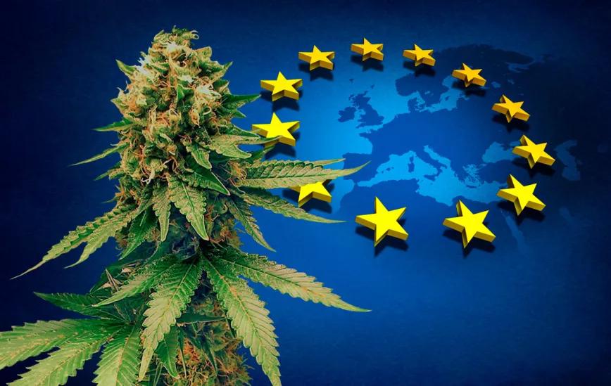 El Gobierno envió a la Unión Europea el proyecto de regulación medicinal de cannabis