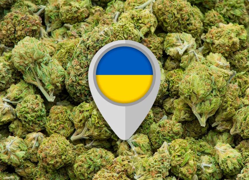 La Unión Europea podría proveer de cannabis medicinal a Ucrania