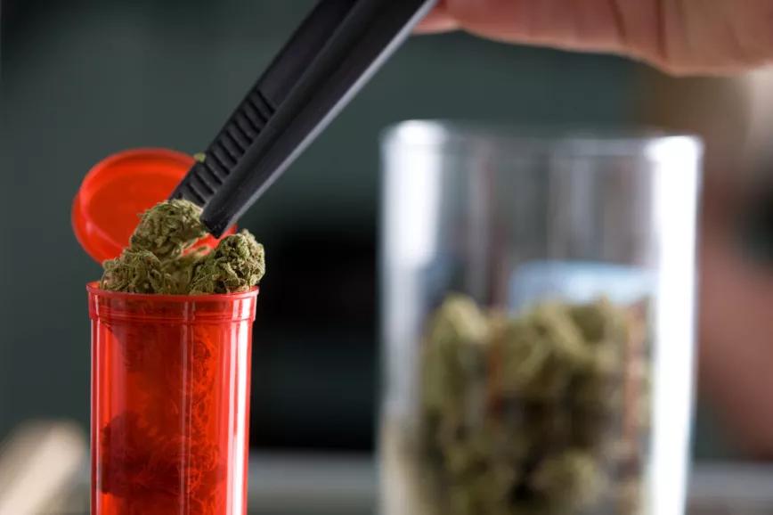 Dinamarca ampliará su programa de cannabis medicinal