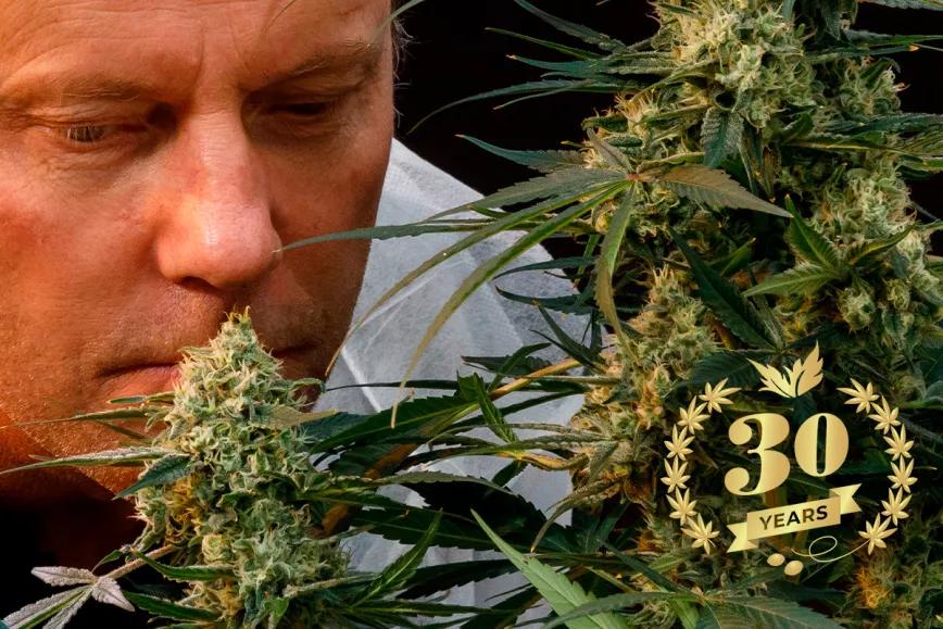 Historia de Paradise Seeds: 30 Años de Genética Superior de Cannabis