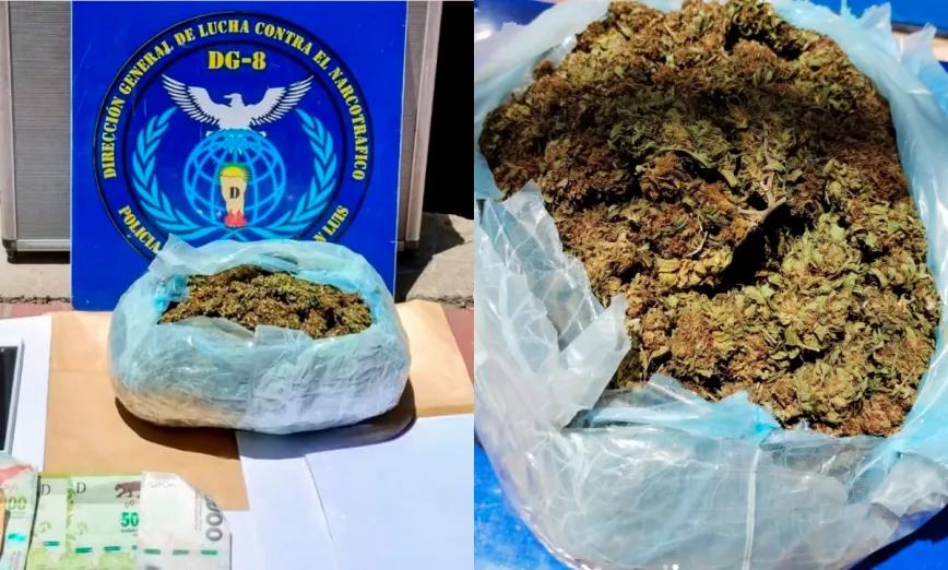 La policía argentina destruyó un proyecto de investigación científica sobre cannabis medicinal