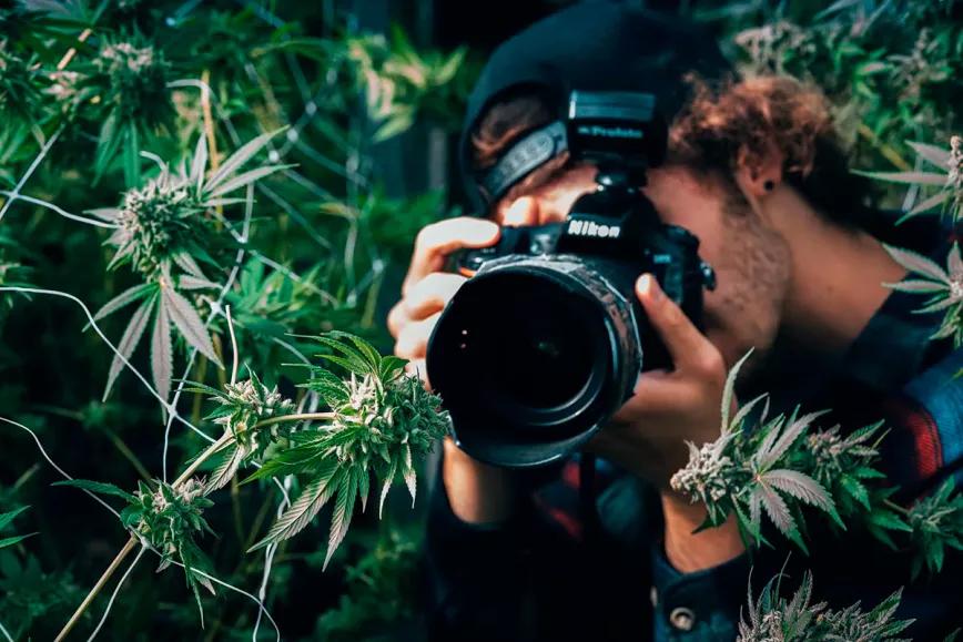 ¿Quiénes son los mejores fotógrafos cannábicos del mundo?
