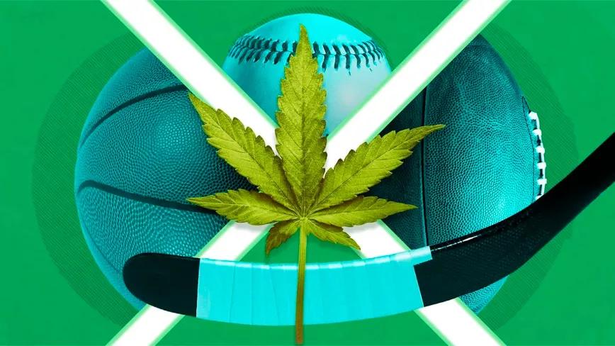 Los jugadores de hockey prefieren el cannabis y los videojuegos al alcohol y las fiestas