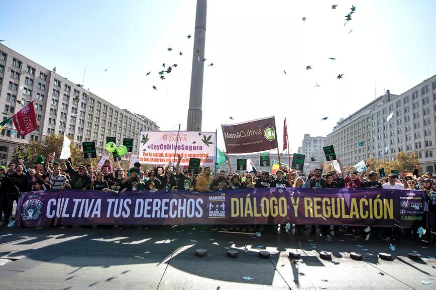 Qué pasa con la marihuana en Chile Por Carlos Martínez Rentería