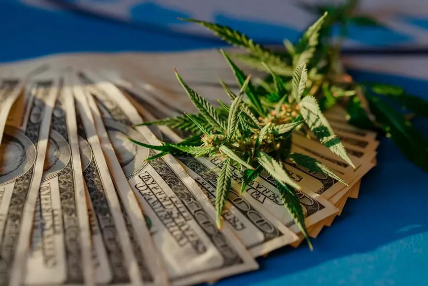 Michigan repartirá 100 millones de euros a ciudades y comunidades originarias por las ventas legales de cannabis