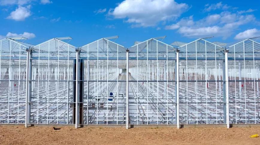 Ondara busca inversores para implementar cultivos alternativos al cannabis