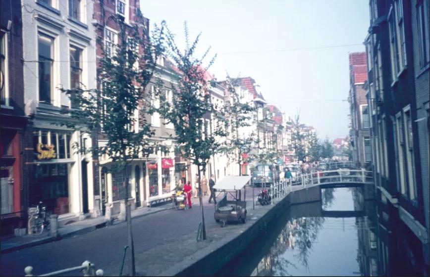 Historia del cannabis y los primeros bancos de semillas