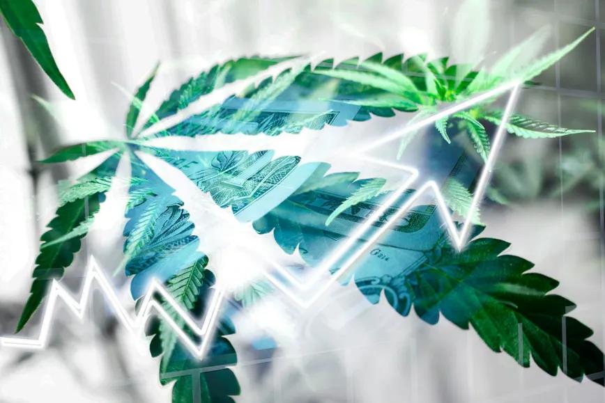 San Diego aprueba el impuesto al cannabis más alto de toda California