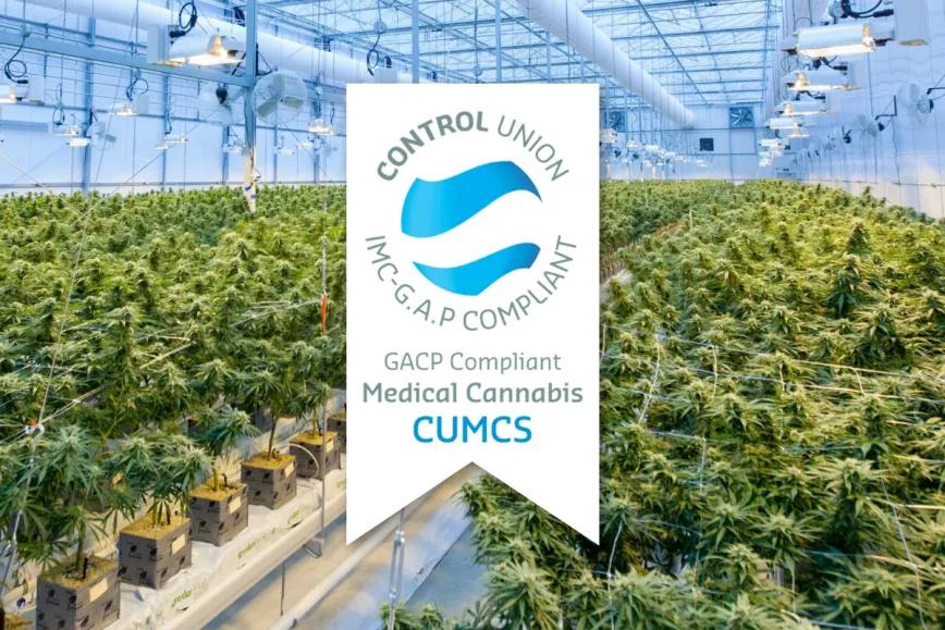 Una empresa argentina obtiene la certificación de cannabis medicinal más importante del mundo