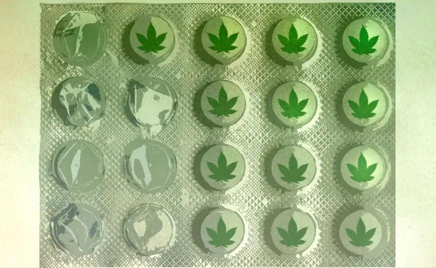 El mercado farmacéutico de cannabis no para de crecer, mientras los usuarios siguen criminalizados