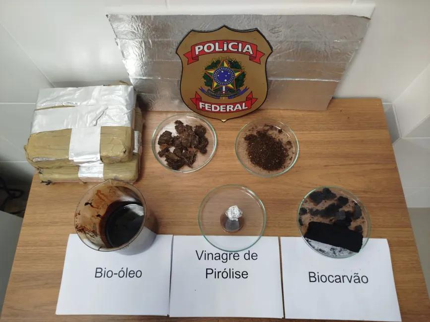 “Projeto Cannabiocombustível”, o projeto conta com a colaboração das Universidades Federais do Pará (UFPA) e de Santa Catarina (UFSC