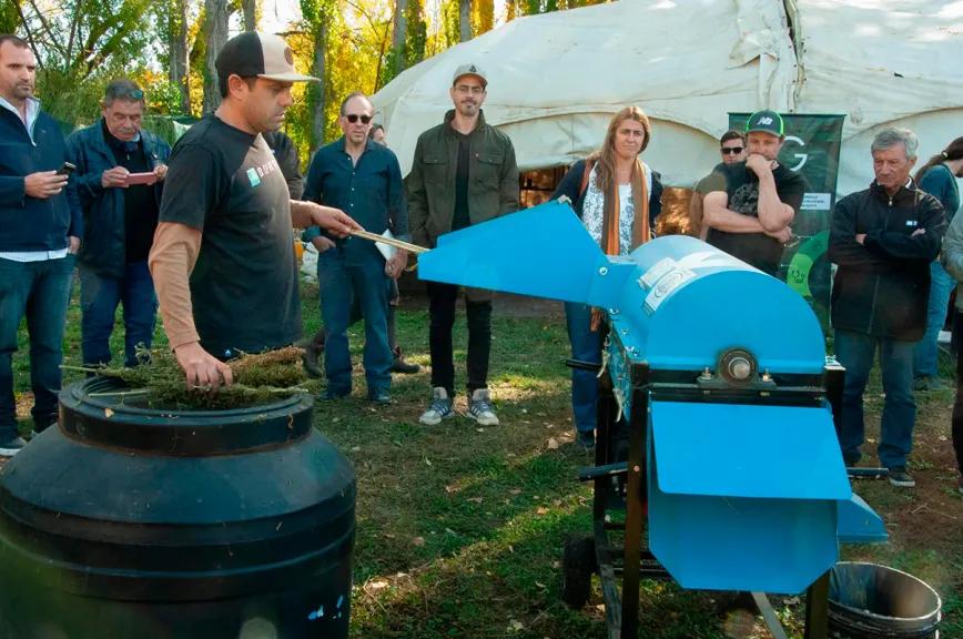 Realizan una cosecha experimental de cáñamo en Argentina con el apoyo de autoridades políticas