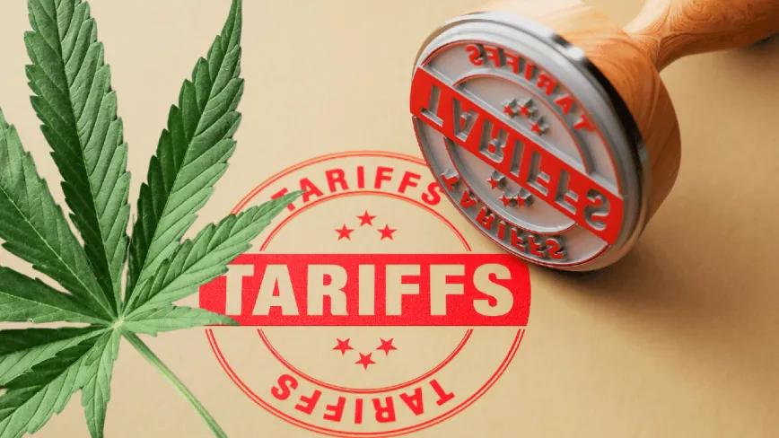 Israel pretende aumentar un 165% los aranceles al cannabis importado de Canadá