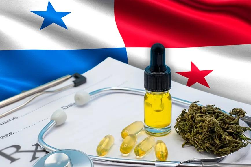 Lanzan en Panamá una plataforma para acelerar la implementación de la ley de cannabis medicinal