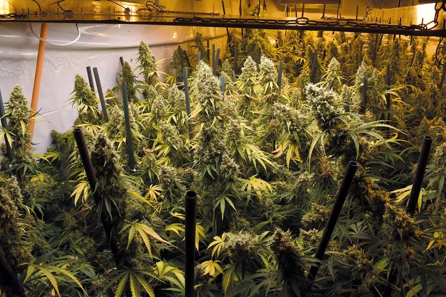 Control de la altura en interior