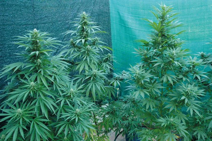 Control de la altura en interior