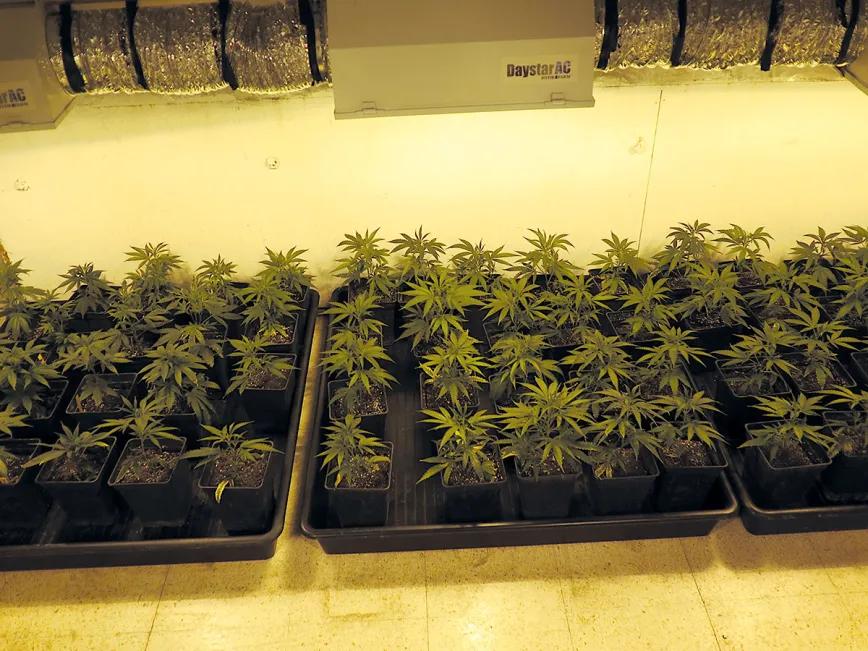 Control de la altura en interior