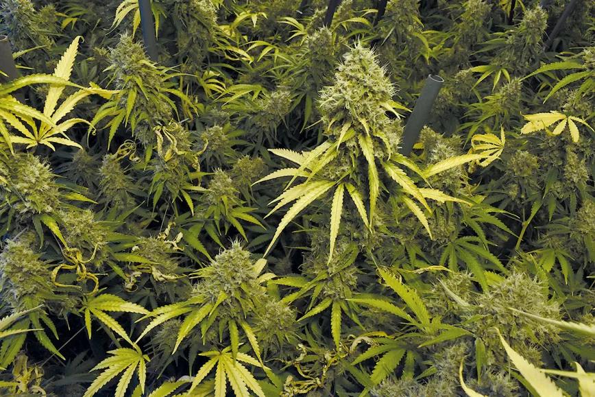 Control de la altura en interior