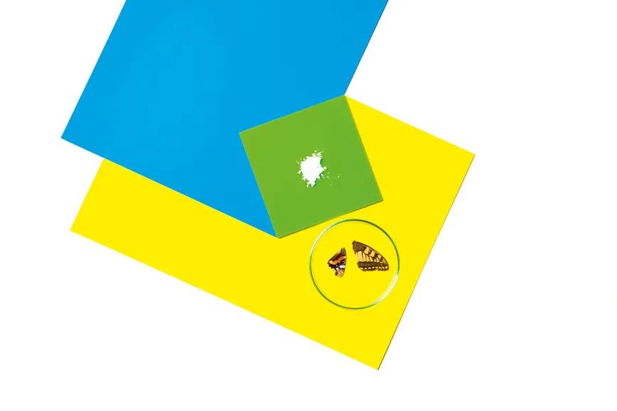 Drogas ‘fly’: las poderosas mariposas del mundo psicofarmacológico