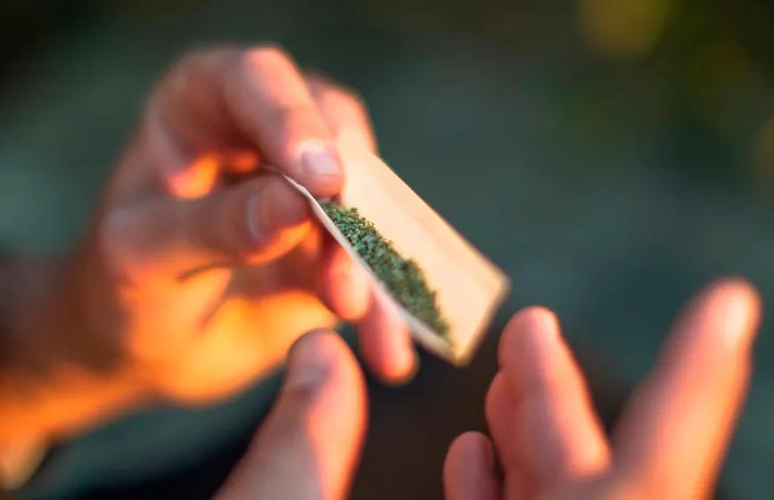 Marihuana en Québec: cae el consumo juvenil y crece entre adultos