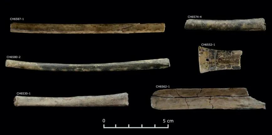 Tubos tallados en huesos huecos y utilizados para inhalar tabaco y vilca alucinógena, encontrados en Chavín de Huántar. Daniel Contreras