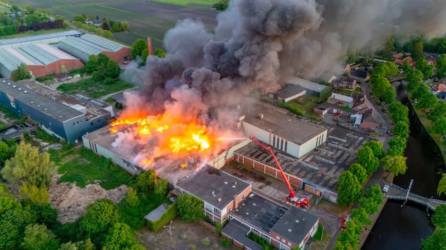 Incendio destruye fábrica de cáñamo del fundador de Sensi Seeds