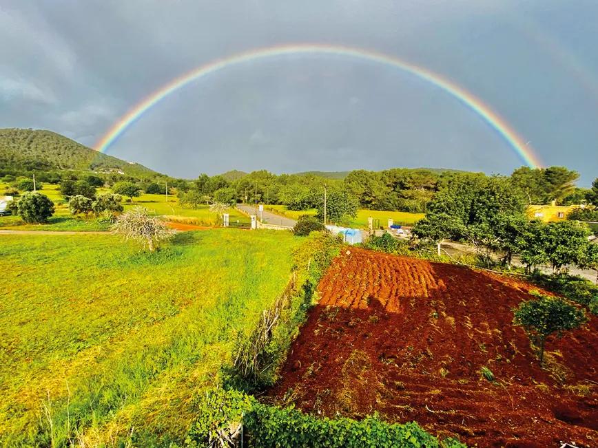 Un porro en Ibiza: entre resinas y la experiencia auténtica