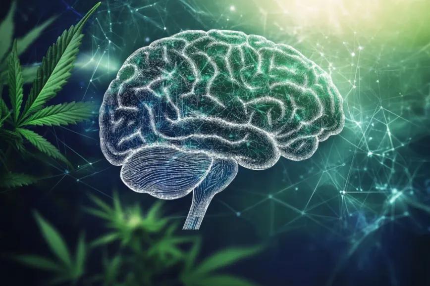 Canadá: 19 casos de epilepsia refractaria eliminaron sus convulsiones con cannabis