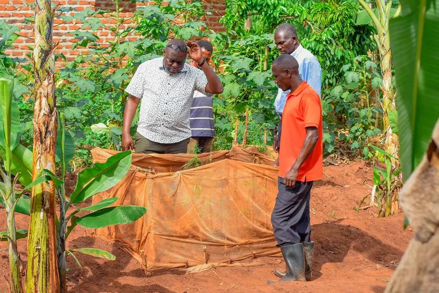 Uganda impulsa su primer programa nacional de cáñamo industrial