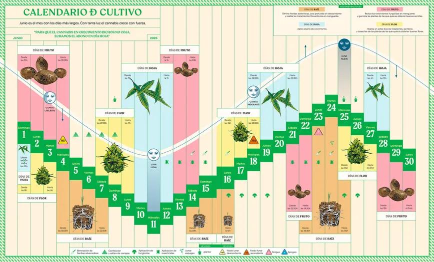Calendario biodinámico de cultivo Junio 2025 CÁÑAMO 330