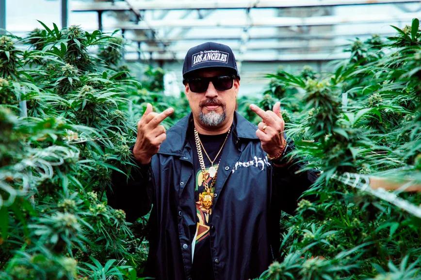 Celebridades cannábicas apuestan por la producción de semillas