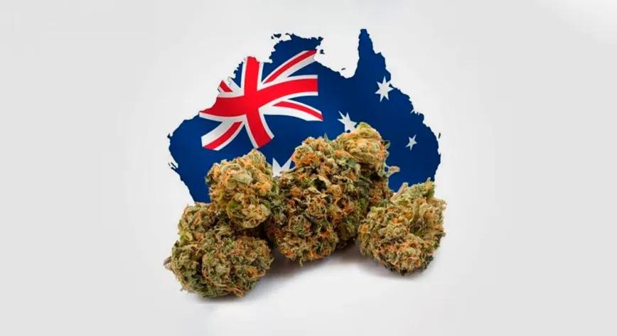 Crece el apoyo al cannabis legal en Australia: el 48% ya está a favor