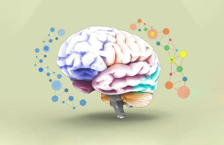 Investigación establece que CBD revierte daños cerebrales asociados a esquizofrenia 