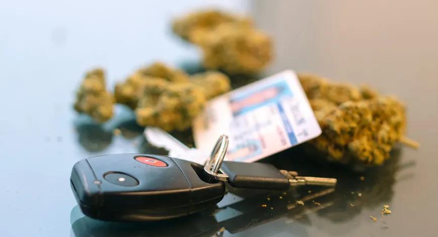 Consumidores diarios de cannabis muestran mínima alteración al conducir