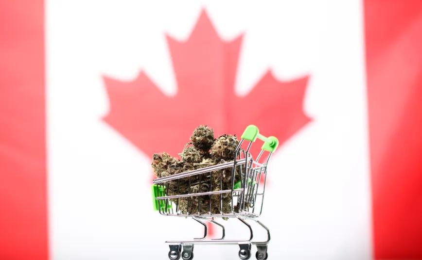 Canadá consolida su mercado de cannabis con más de 3.700 tiendas